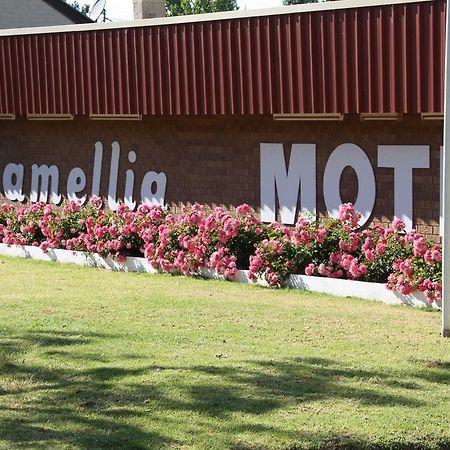Camellia Motel Narrandera Exterior foto